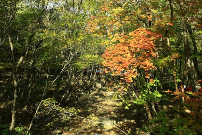 禪雲山道立公園 (40/46)