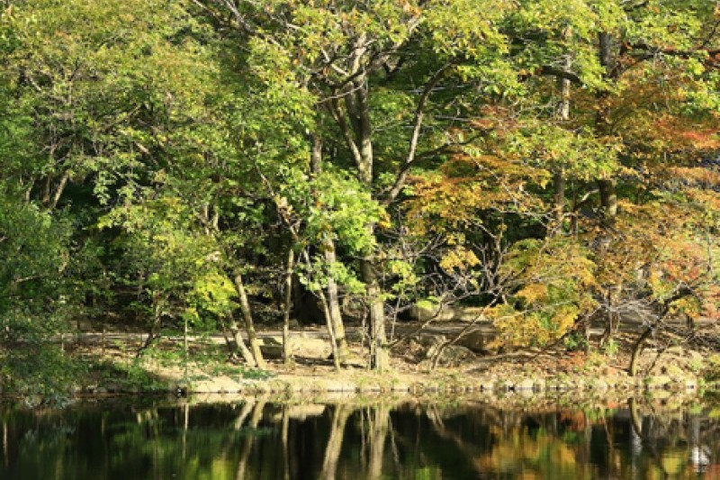 禪雲山道立公園 (43/46)