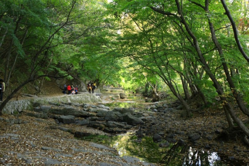 禪雲山道立公園 (44/46)