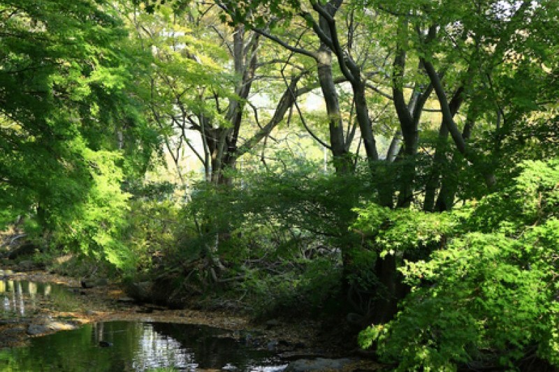 禪雲山道立公園 (45/46)