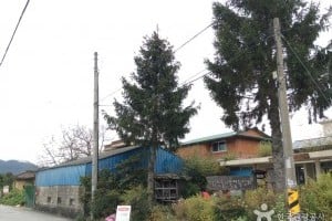 智異山環山步道健行