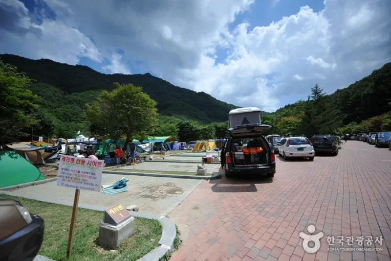 德裕山德裕大露營區