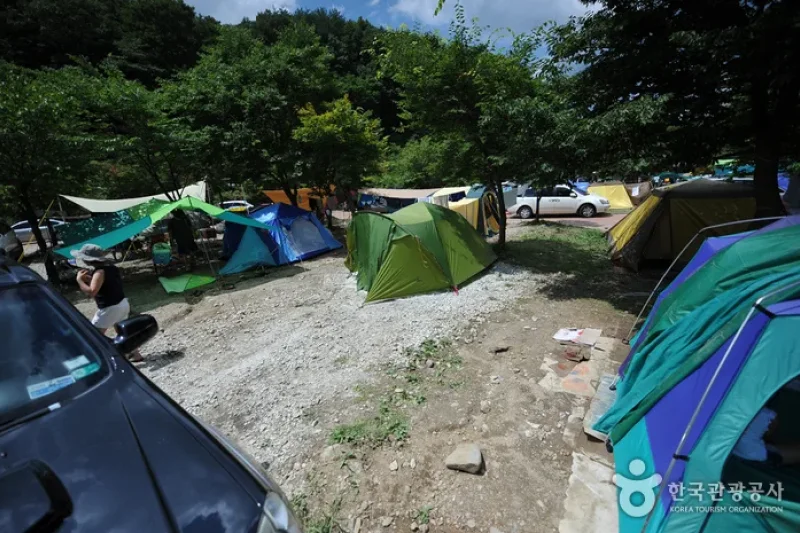 德裕山德裕大露營區