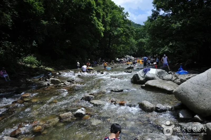 德裕山德裕大露營區