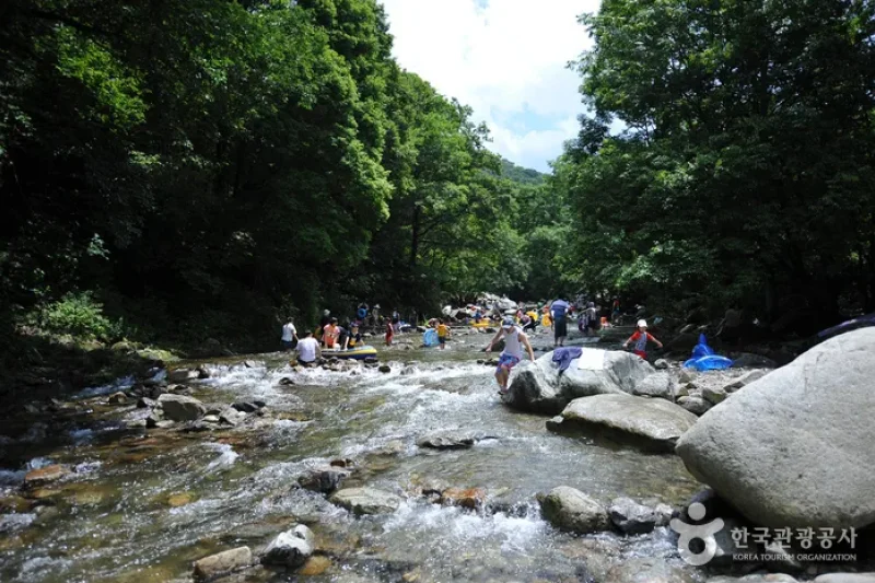 德裕山德裕大露營區