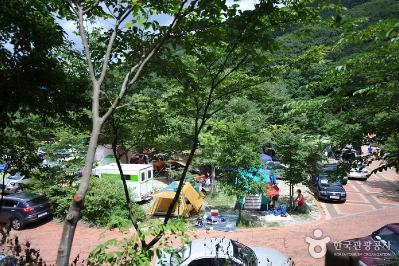 德裕山德裕大露營區