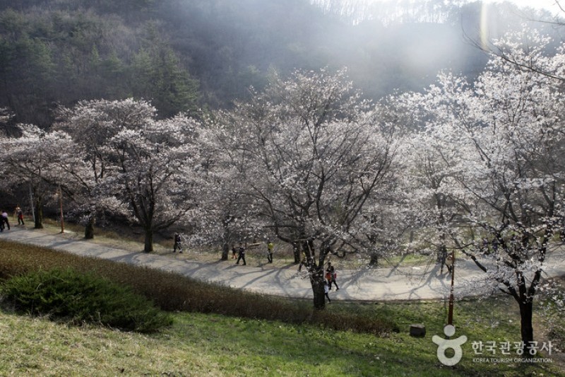 馬耳山道立公園  (20/22)