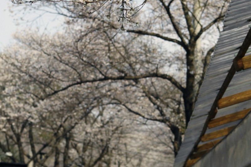 馬耳山道立公園  (21/22)