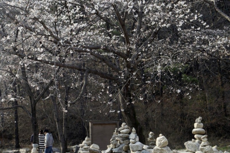 馬耳山塔寺 (9/10)