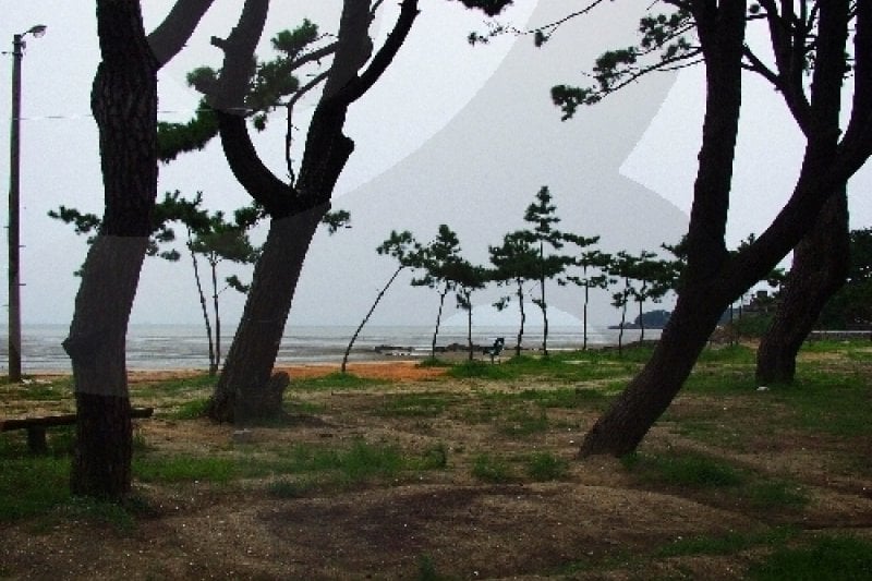 冬湖海水浴場 (16/16)