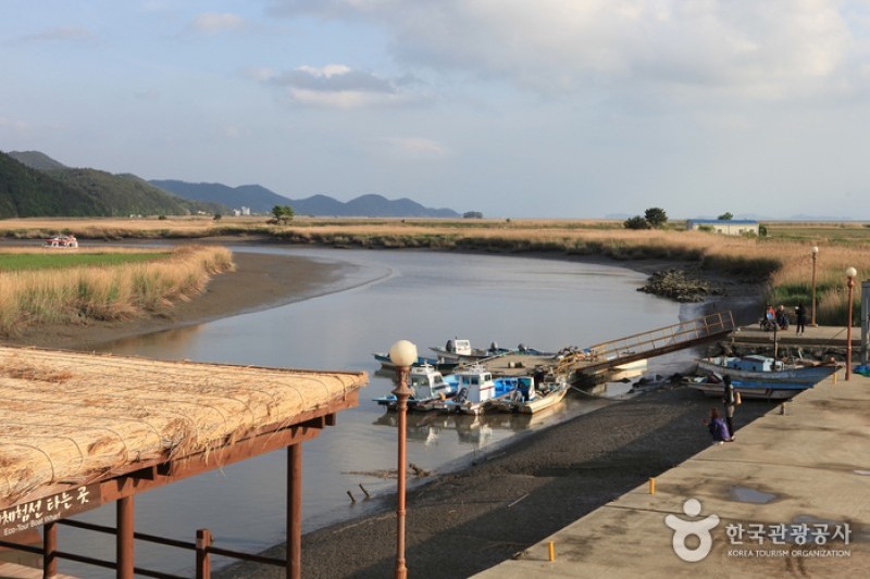順天灣濕地  (17/70)