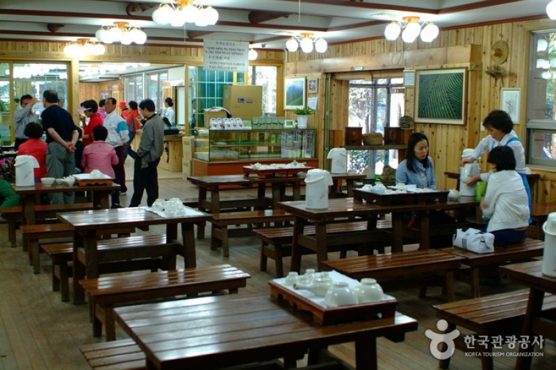 寶城綠茶園大韓茶園