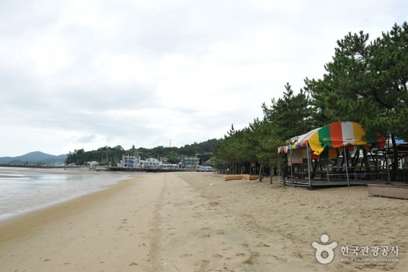 栗浦松林海岸與海水浴場 (1/11)