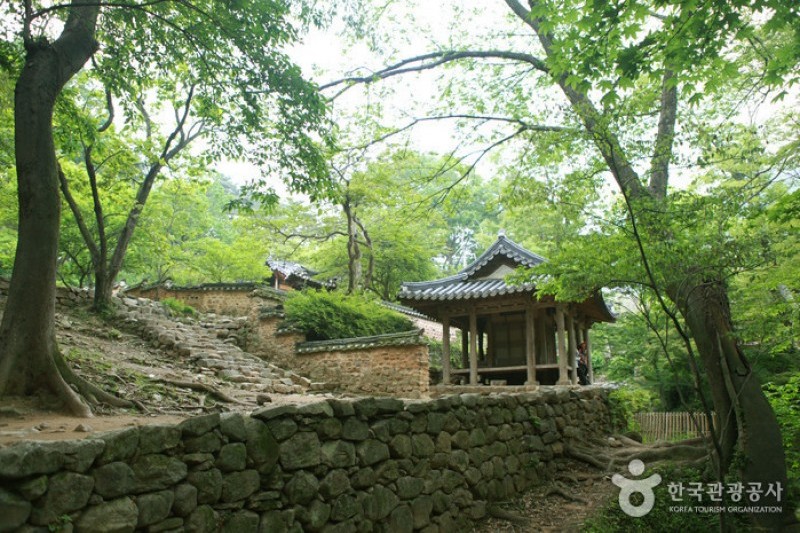 潭陽瀟灑園 (6/19)
