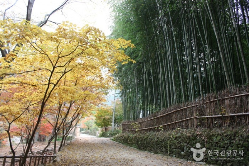 潭陽瀟灑園 (7/19)