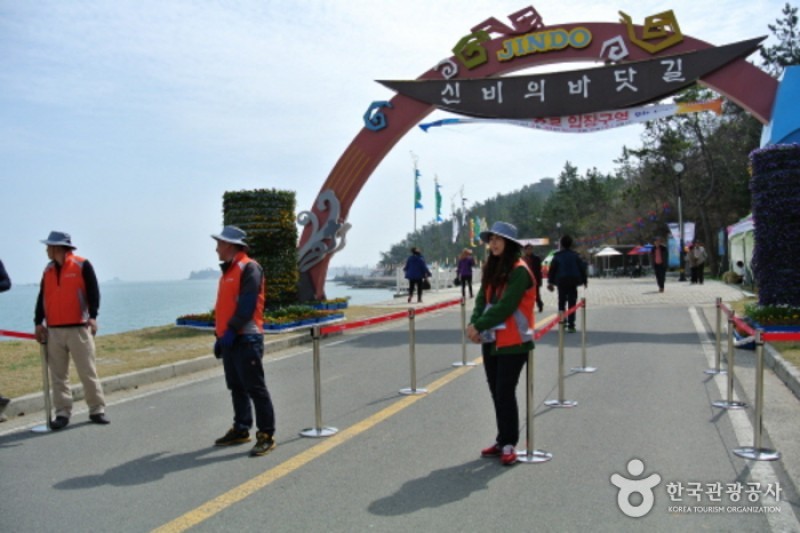 珍島神秘海路慶典