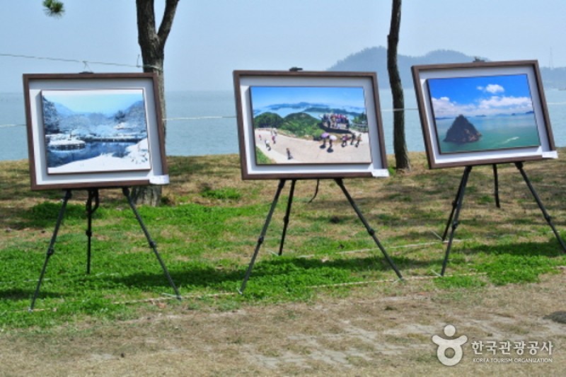 珍島神秘海路慶典