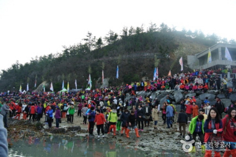 珍島神秘海路慶典