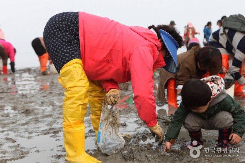 珍島神秘海路慶典