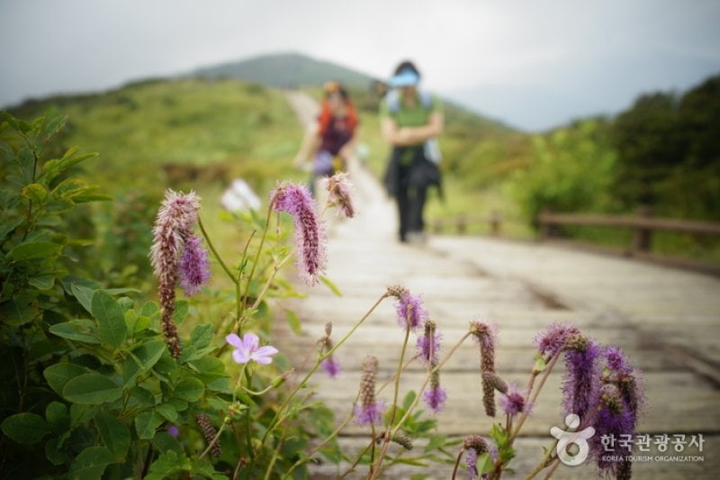 智異山國立公園 (4/12)