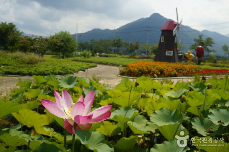 智異山國立公園 (11/12)