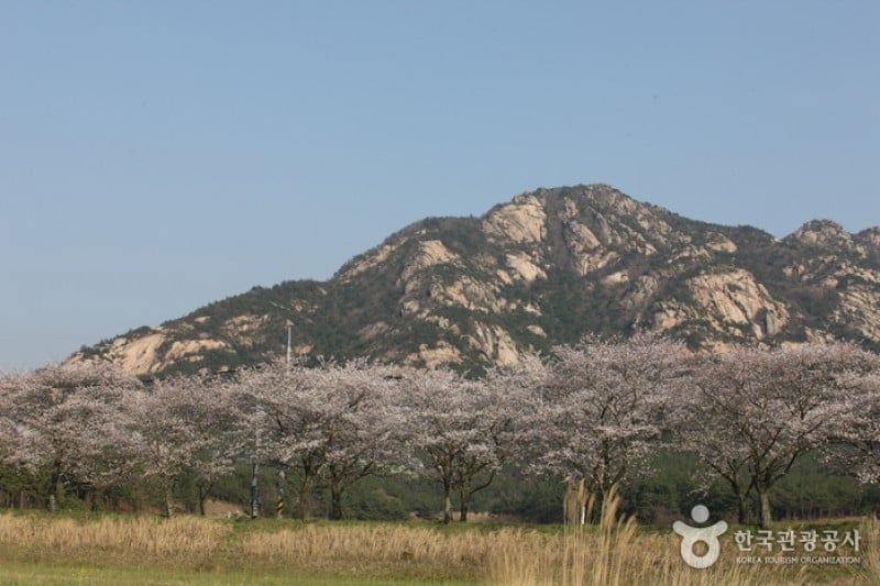 月出山國立公園 (1/7)