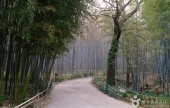 竹林谷主題公園