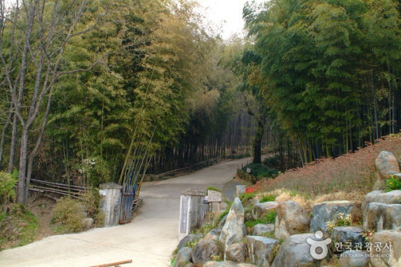 竹林谷主題公園