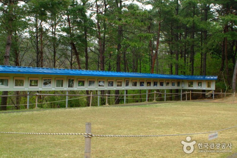 竹林谷主題公園