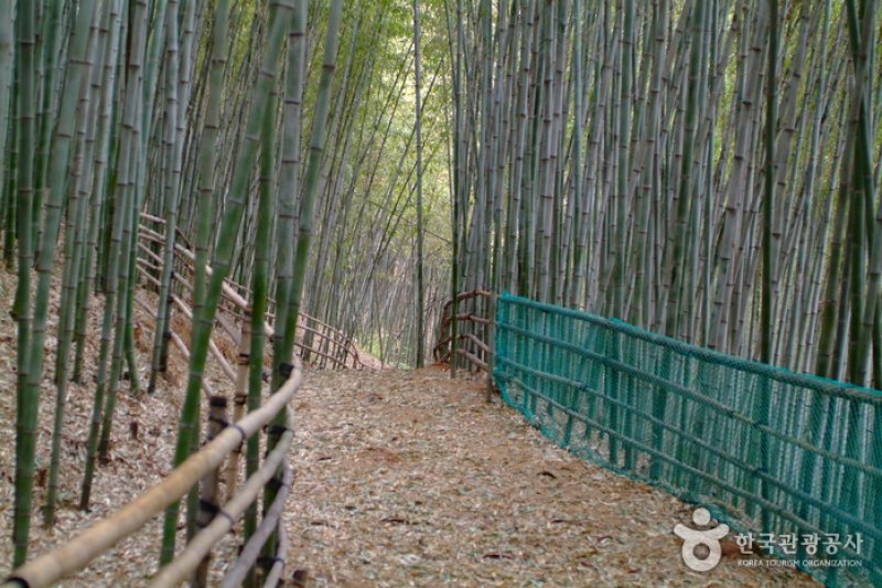 竹林谷主題公園