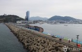 梧桐島