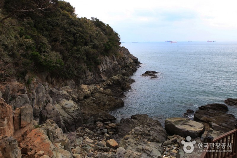 梧桐島