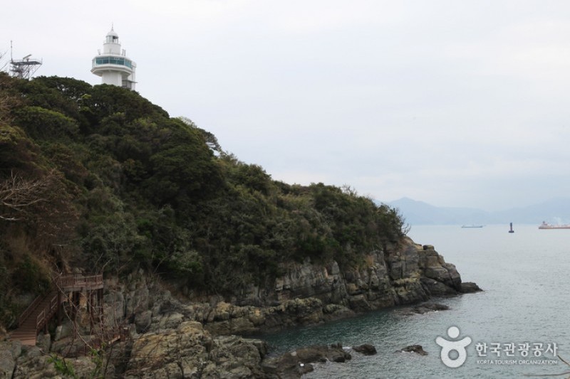 梧桐島