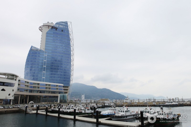 梧桐島