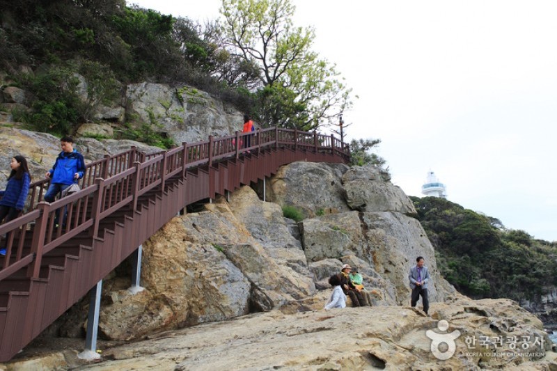 梧桐島