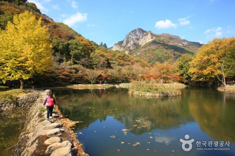 古佛叢林白羊寺  (3/19)