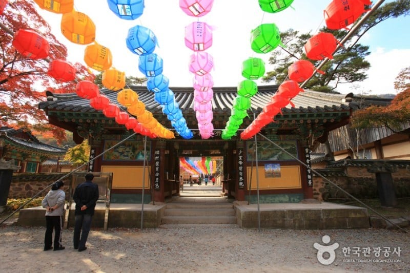 古佛叢林白羊寺  (6/19)