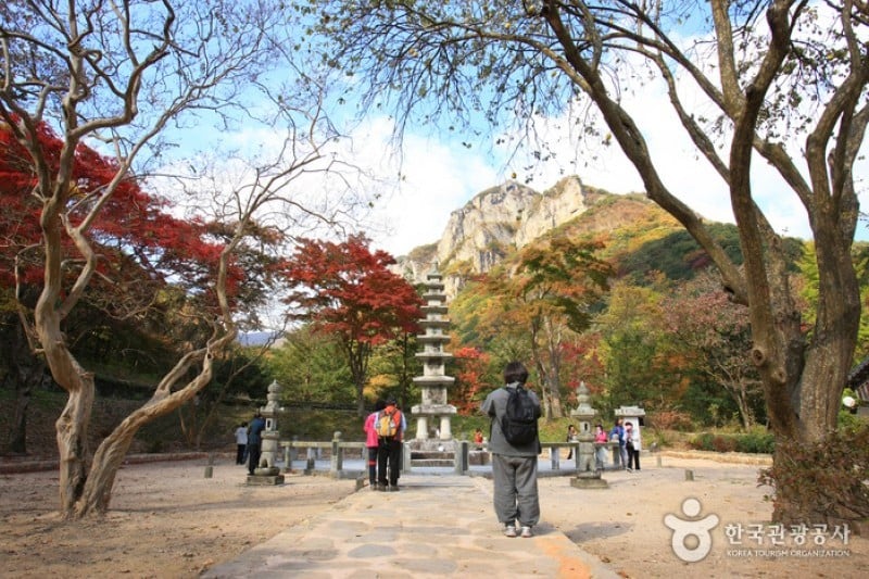 古佛叢林白羊寺  (8/19)
