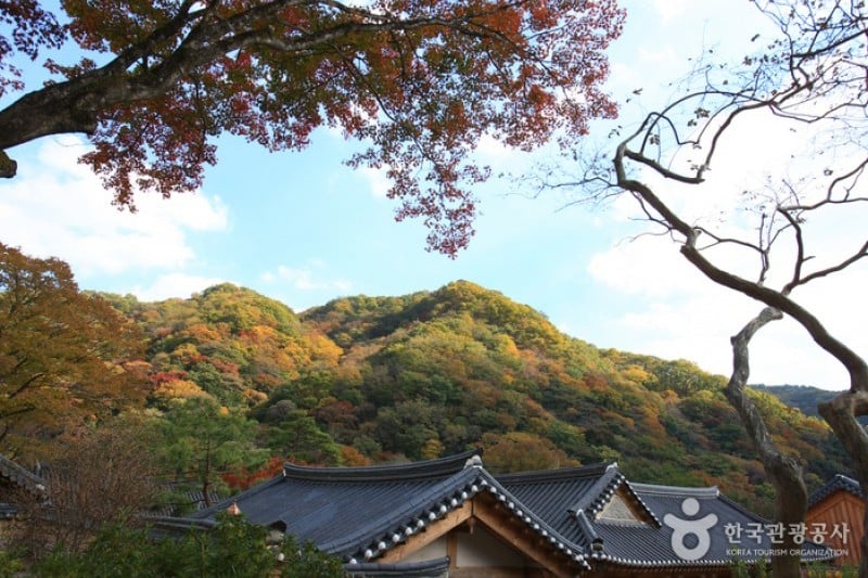 古佛叢林白羊寺  (9/19)