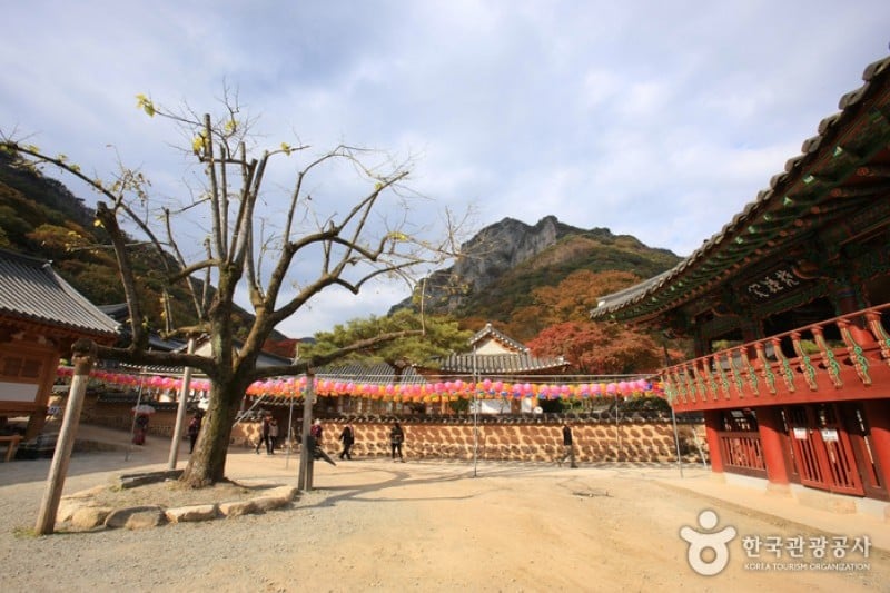 古佛叢林白羊寺  (16/19)