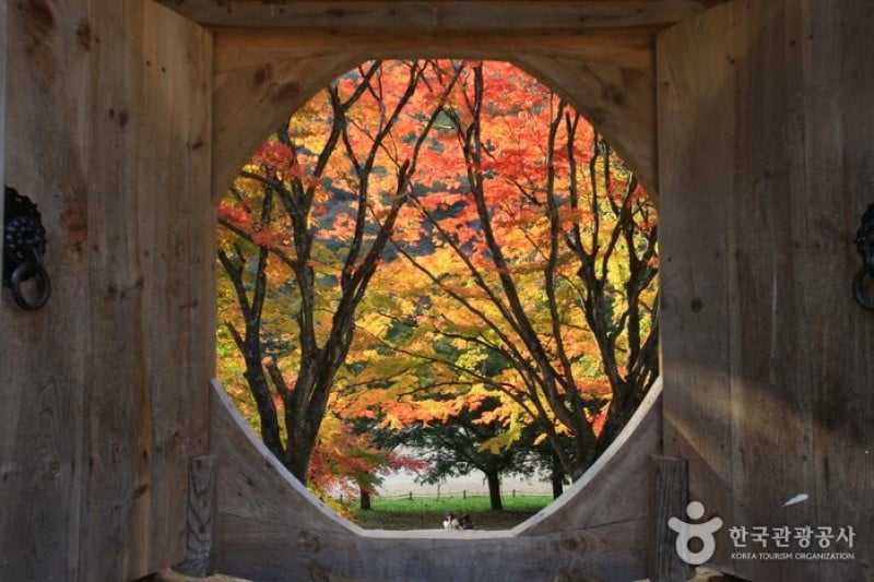古佛叢林白羊寺  (19/19)