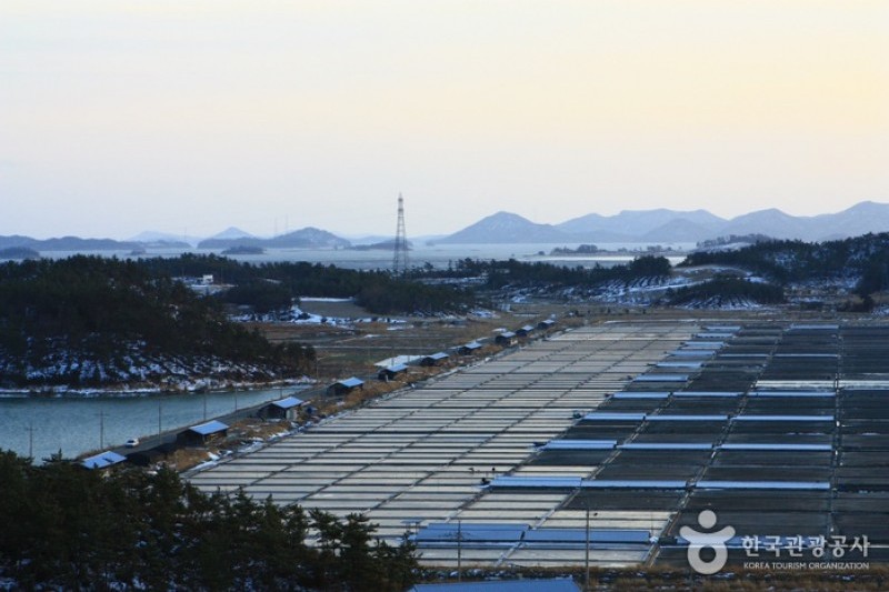 曾島[Slow City]