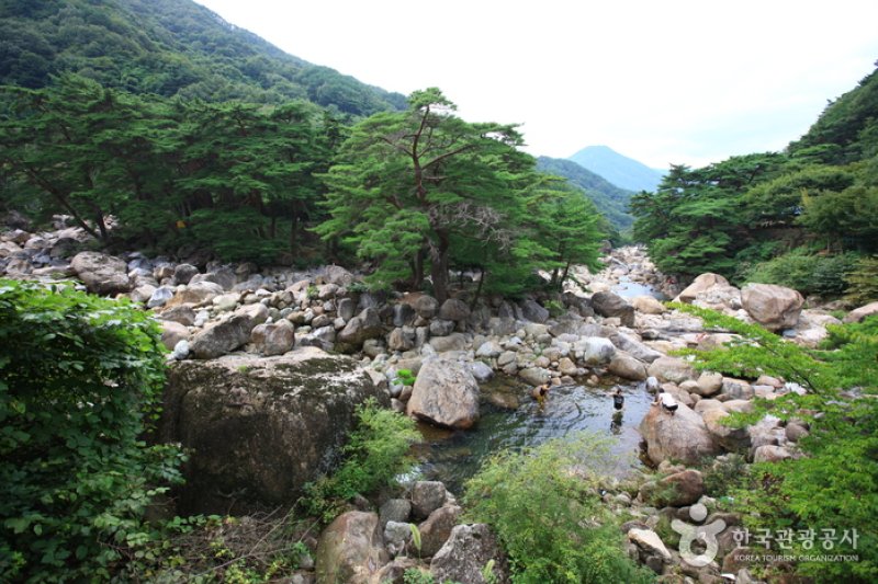 智異山十景  (1/14)