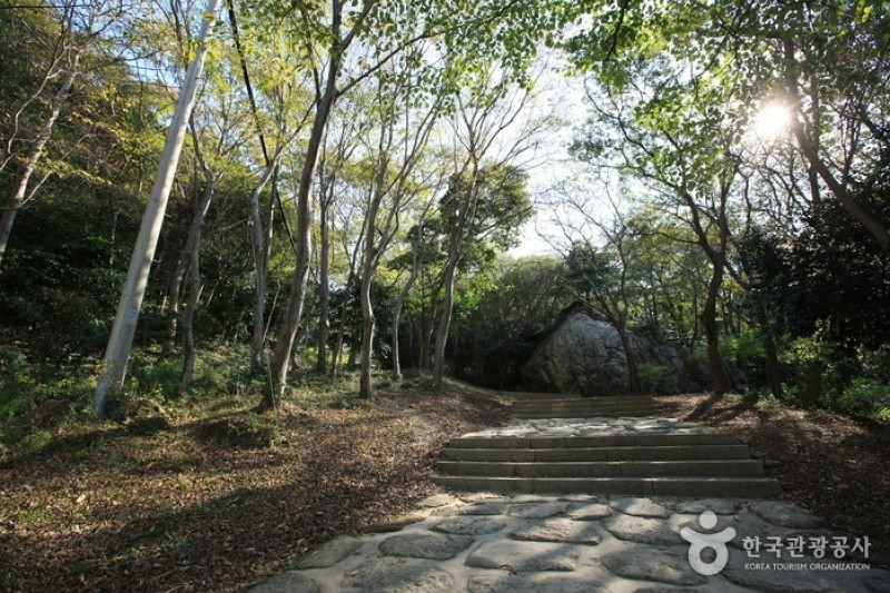 美黃寺/兜率庵 (19/25)