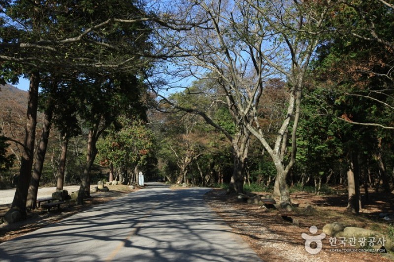 頭輪山道立公園  (1/52)