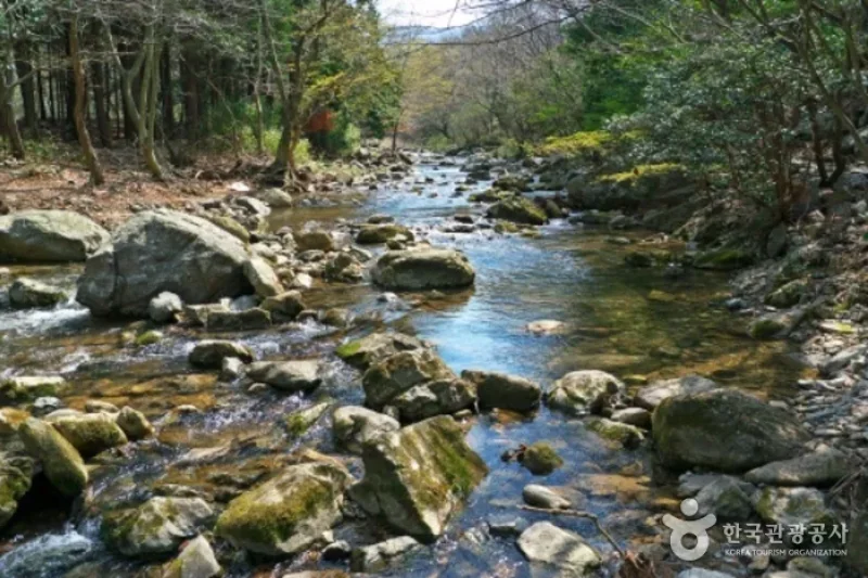 頭輪山道立公園  (50/52)