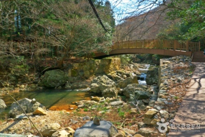 頭輪山道立公園  (52/52)