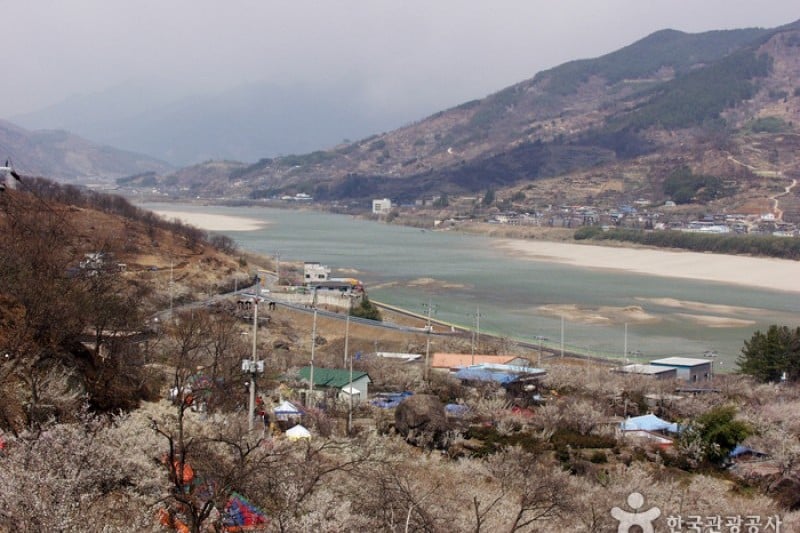 光陽梅花村 (1/2)