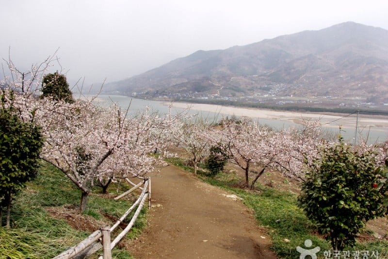 光陽梅花村 (2/2)