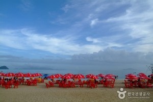 薪智鳴沙十里海水浴場